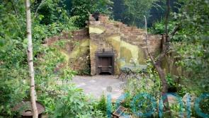 Highlights and trends from RHS Chelsea Flower Show 2023: sustainability, wildlife and weeds
