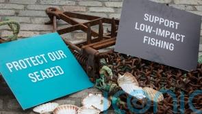 Legal challenge over scallop-dredging in Scottish waters gets under way