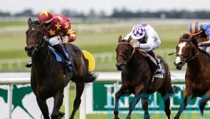 Al Riffa ruled out of Irish 2,000 Guineas by Joseph O’Brien