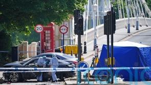 Driver admits killing woman and three dogs in Chelsea embankment crash