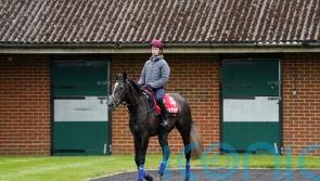 In-demand Murphy has designs on Derby and Oaks double