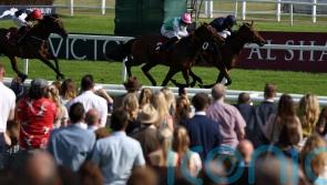 Oaks bid not ruled out yet for Bluestocking