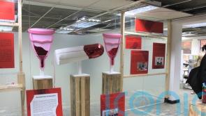 London’s Vagina Museum meets fundraising goal for new premises
