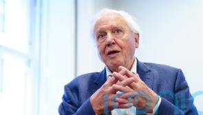 Sir David Attenborough: Dinosaurs always produce something unexpected