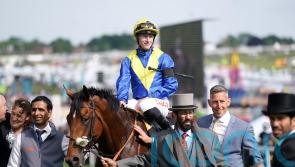 Expectations high as Desert Crown hits the comeback trail