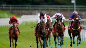 Enemy hunting Henry II honours at Sandown