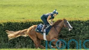 Charlie Johnston sure Dubai Mile can go the Derby distance