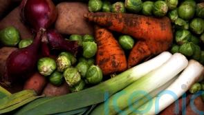 Plant-based diets may be linked to lower cholesterol levels – study