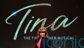 Tina Turner inspired musicals and films that showcased her strength and sound