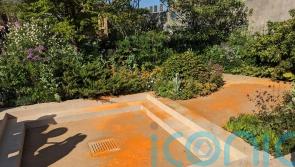 Paint thrown over Chelsea Flower Show garden in Just Stop Oil protest