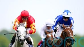 John Murphy dreaming of Derby delight with White Birch