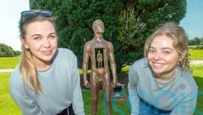 Art and sculptures worth seven million euro to go on public display
