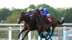 Hukum denies Desert Crown in tremendous Brigadier Gerard battle