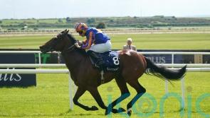Paddington bears fruit in Irish Guineas