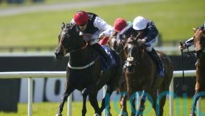 Just perfect from Paddy Twomey filly in Lanwades Stakes