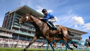 Anmaat hunting Group One gold at ParisLongchamp