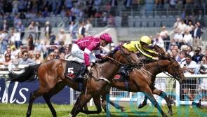 Noche Magica on Norfolk Stakes trail