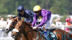 Dermot Weld pays tribute to ‘talented and courageous’ Rite Of Passage