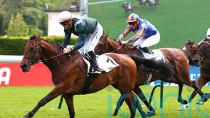 Feed The Flame ready to fire in Jockey Club test