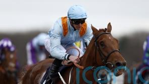 Dear My Friend to break new ground for Middleham Park in Derby