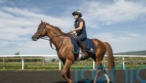 Johnston dreaming of Derby delight with Dubai Mile