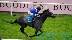 Target for Mostabshir at Royal Ascot not firmed up yet