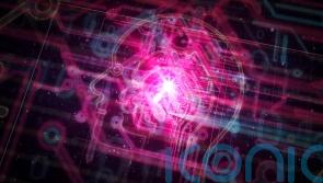 Artificial intelligence warning over human extinction – all you need to know
