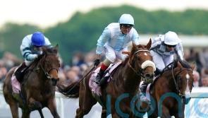 Goodwood Cup goal for Giavellotto