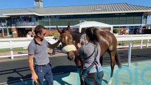 Land Lover revved up for Woodcote with Demuro in the saddle