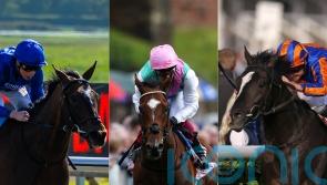 Auguste Rodin heads 14 contenders for Derby glory