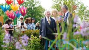Irish president warns planet is ‘in peril’ as he launches gardening festival