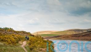 Elements of land reform proposals backed in consultation