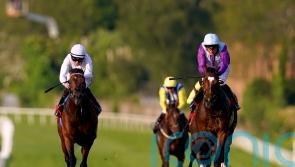 Artistic Star takes step into ‘unknown territory’ with Derby tilt