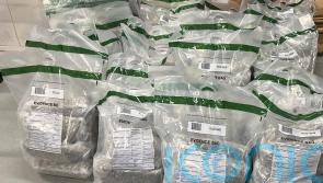 Officers recover £2m of herbal cannabis hidden in trailer