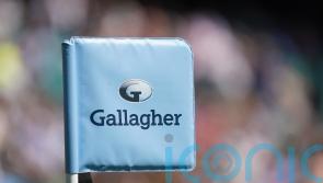 Government appoints independent advisers to aid rugby union rescue effort