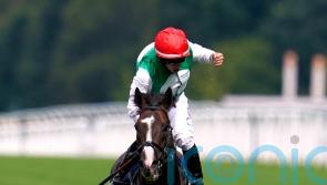 Pyledriver doing everything right en route to King George defence