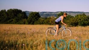 Cyclist to ride 3,000 miles on bamboo bike to highlight climate crisis