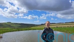 £1 million bid launched to return historical dew ponds to South Downs