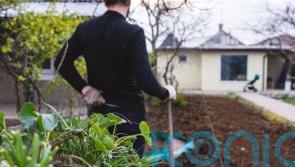 Top tips to avoid garden injuries