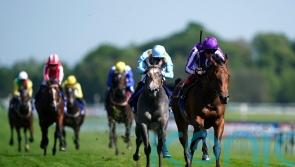 Middleham Park keen for another crack at Little Big Bear with Shouldvebeenaring