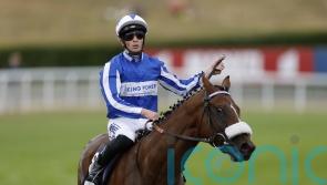 The Foxes set for distance switch after Derby run