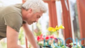 7 great gardening gifts for dads this Father&rsquo;s Day