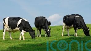AB Foods agrees £48m deal to buy National Milk Records