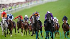 Murphy eyeing Irish Derby date for White Birch
