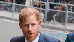 Harry says Government is at ‘rock bottom’ in High Court statement