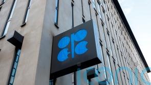Opec+ producers consider more oil cuts as prices slump