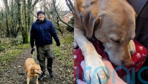 Dad and his dog both diagnosed with kidney cancer at same time make most of family beach trips while they still can