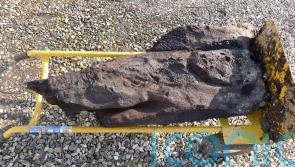 Timber recovered from trench believed to be oldest carved wood found in Britain