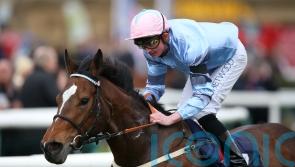 Falmouth date enters Sly’s thinking for Astral Beau