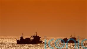 Olivia Colman and Stephen Fry join calls for moratorium on deep sea mining